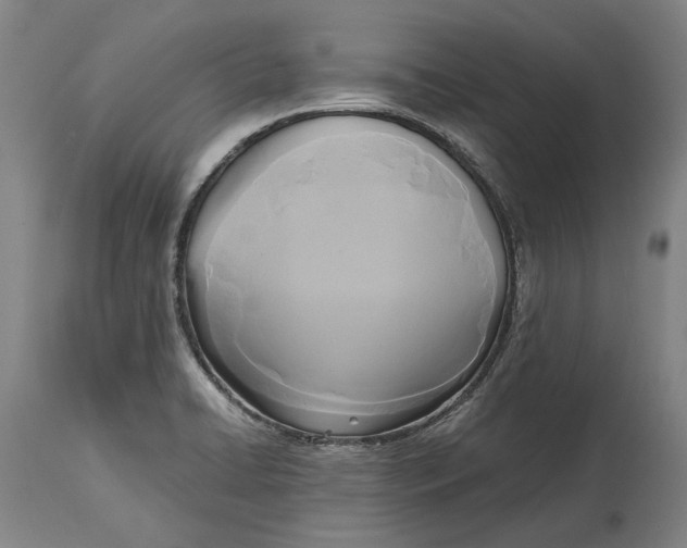 X0000114591422200911161321