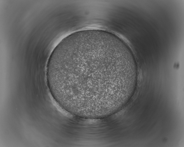 X0000114591423200911161321