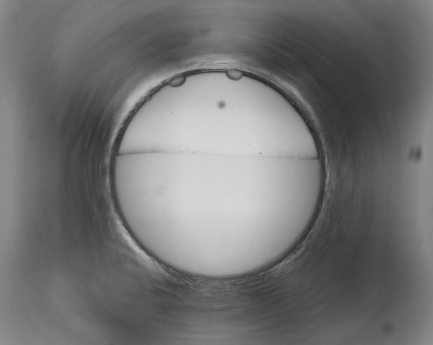 X0000114591424200911161321