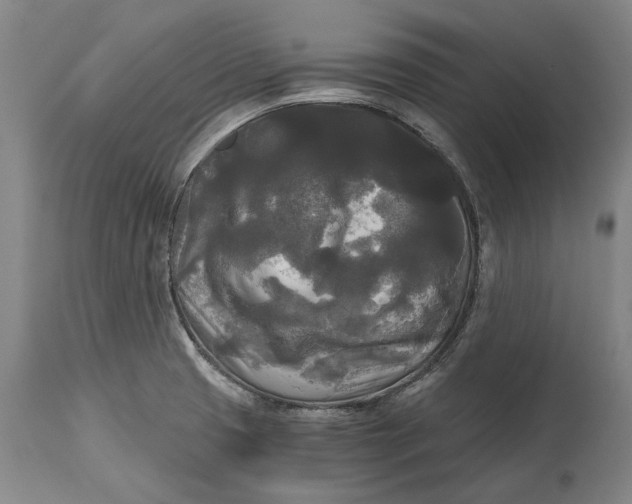 X0000114591425200911161321