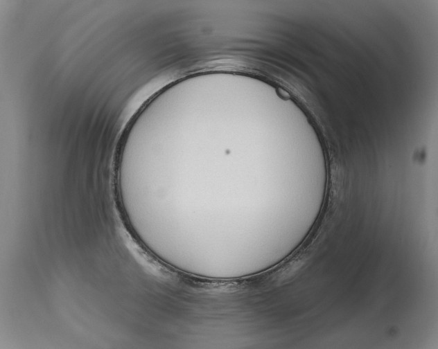 X0000114591426200911161321