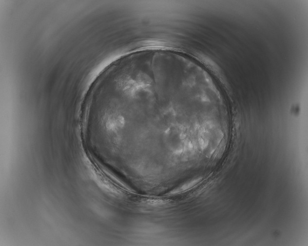 X0000114591427200911161321