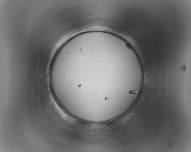 X0000114591430200911161321