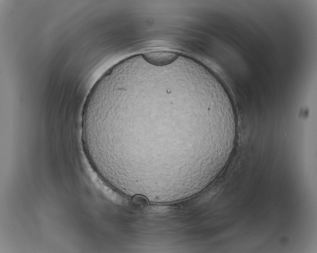 X0000114591431200911161321