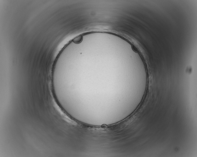 X0000114591432200911161321