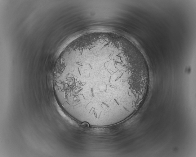 X0000114591433200911161321