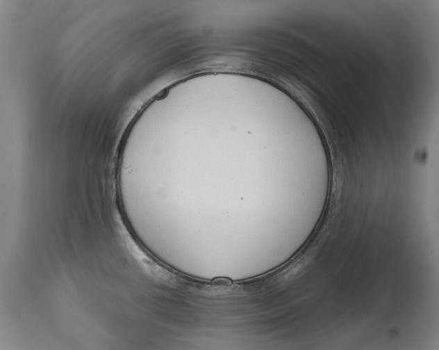 X0000114591434200911161321