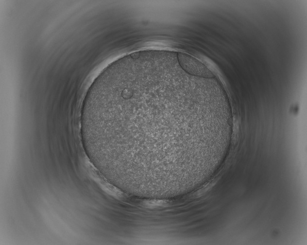 X0000114591435200911161321