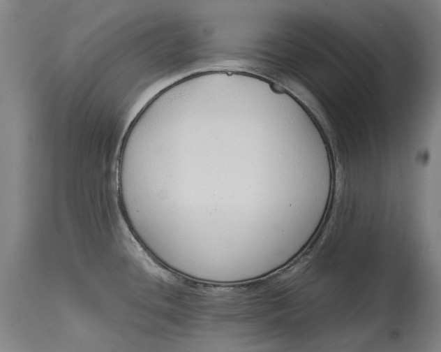 X0000114591436200911161321