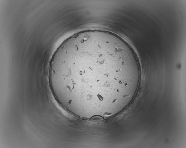 X0000114591437200911161321