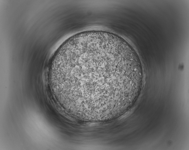 X0000114591438200911161321