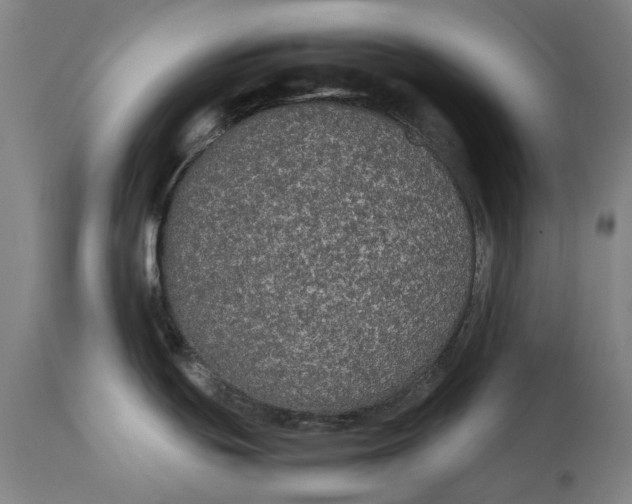 X0000114591439200911161321