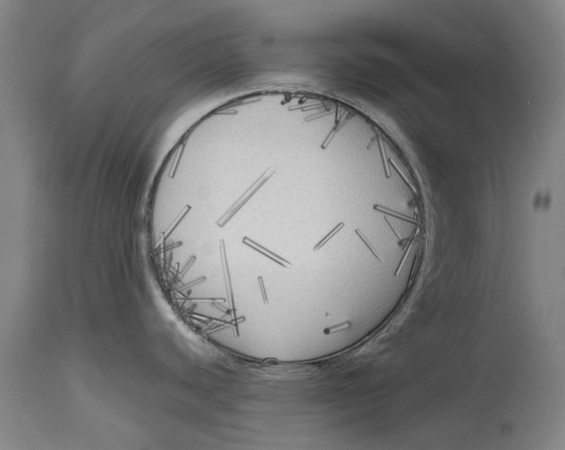 X0000114591440200911161321