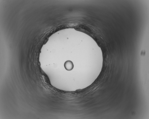 X0000114591441200911161321