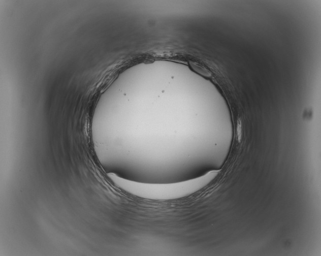 X0000114591444200911161321