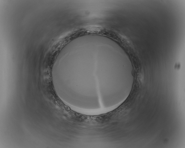 X0000114591445200911161321