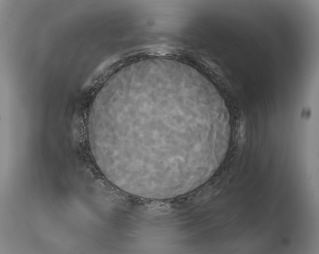 X0000114591446200911161321