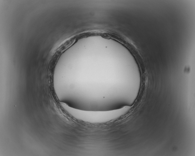 X0000114591448200911161321