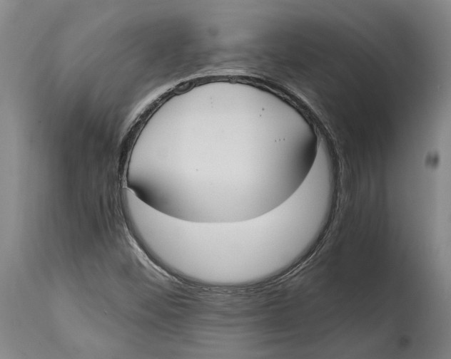 X0000114591452200911161320