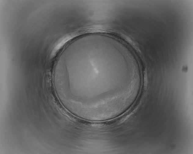 X0000114591453200911161320