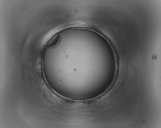 X0000114591455200911161320