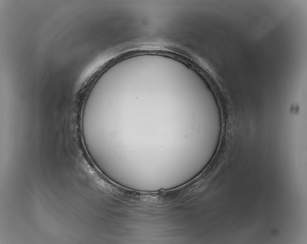 X0000114591456200911161320