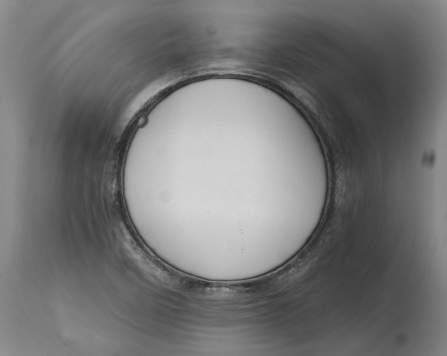 X0000114591458200911161320