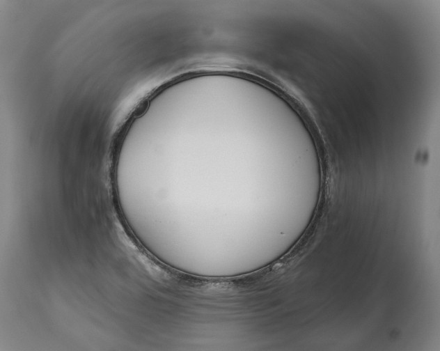 X0000114591464200911161320