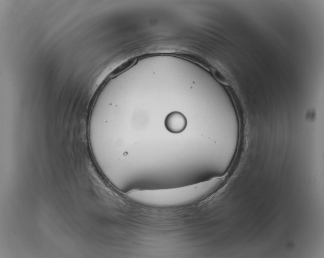 X0000114591465200911161320