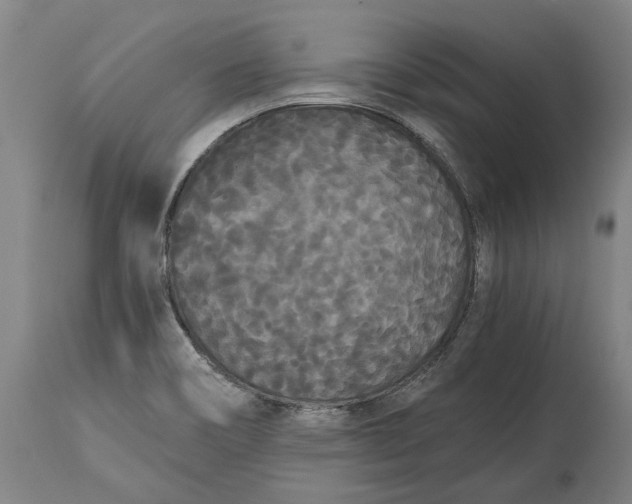 X0000114591466200911161320