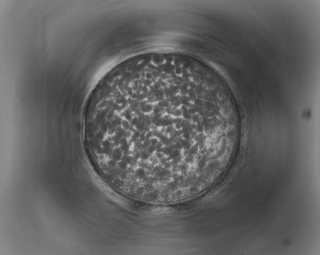 X0000114591467200911161320