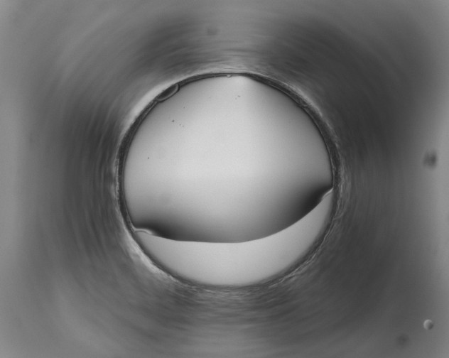 X0000114591468200911161320