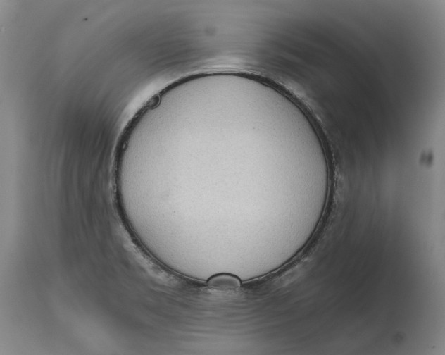 X0000114591469200911161320