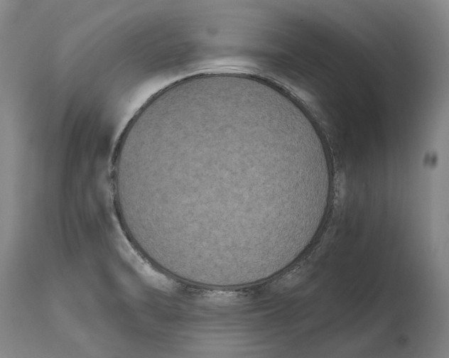 X0000114591470200911161320