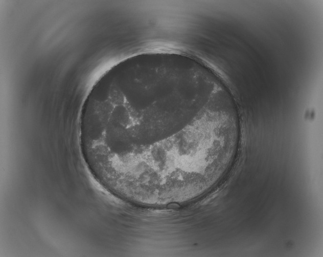 X0000114591471200911161320