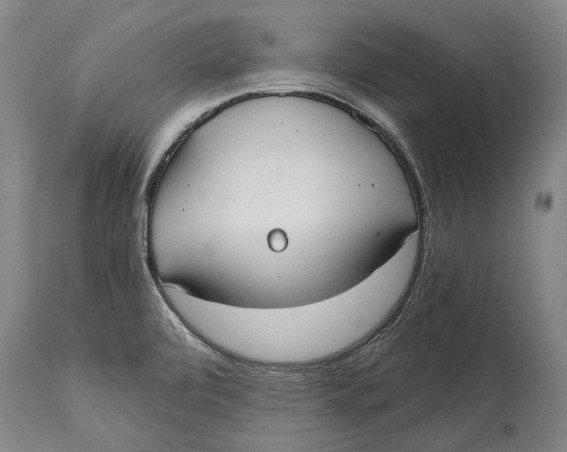 X0000114591472200911161320