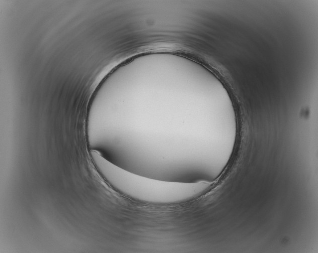 X0000114591473200911161320