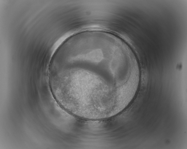 X0000114591474200911161320