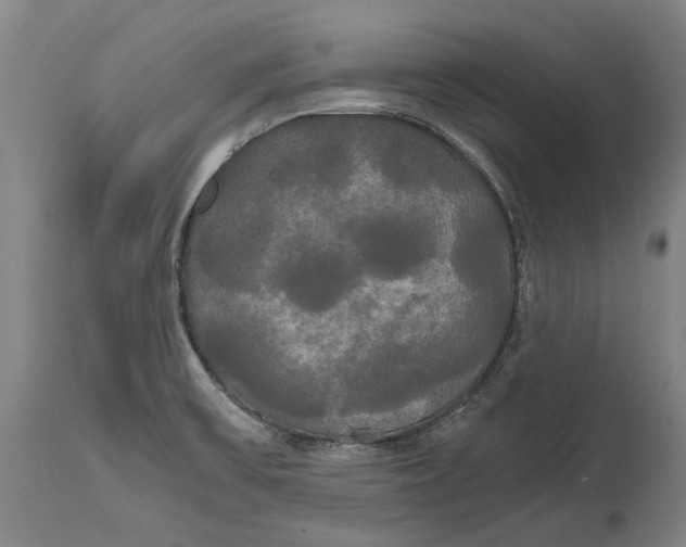 X0000114591475200911161320