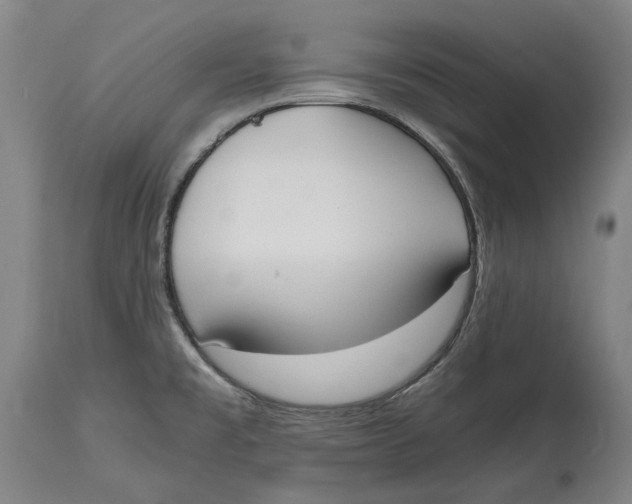 X0000114591477200911161320