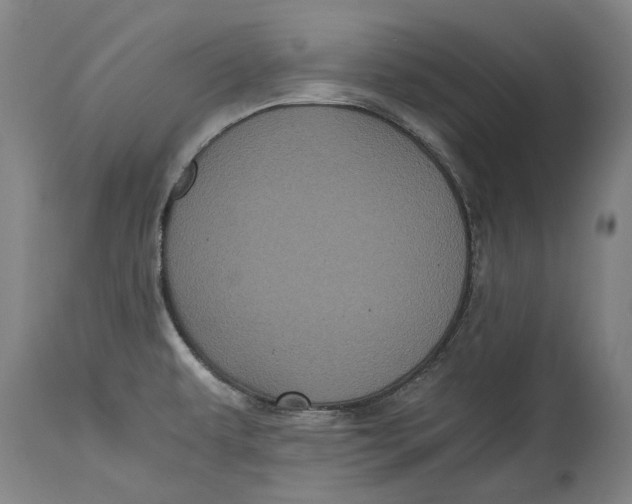 X0000114591479200911161320