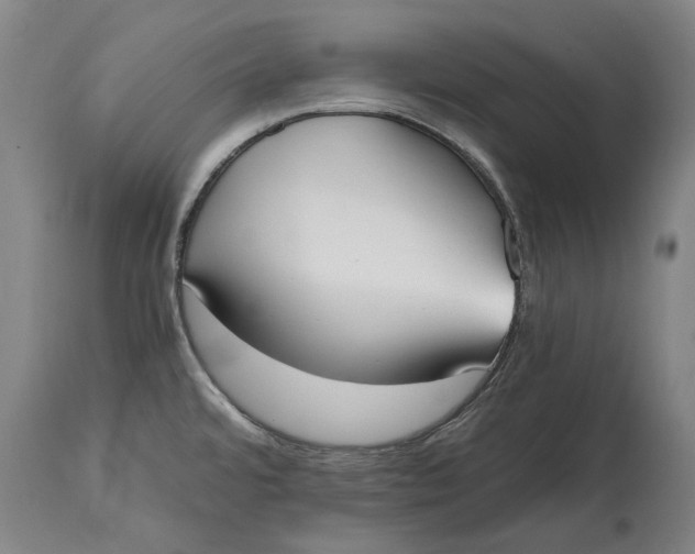 X0000114591480200911161320