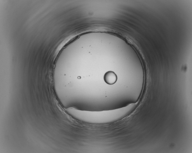 X0000114591481200911161320