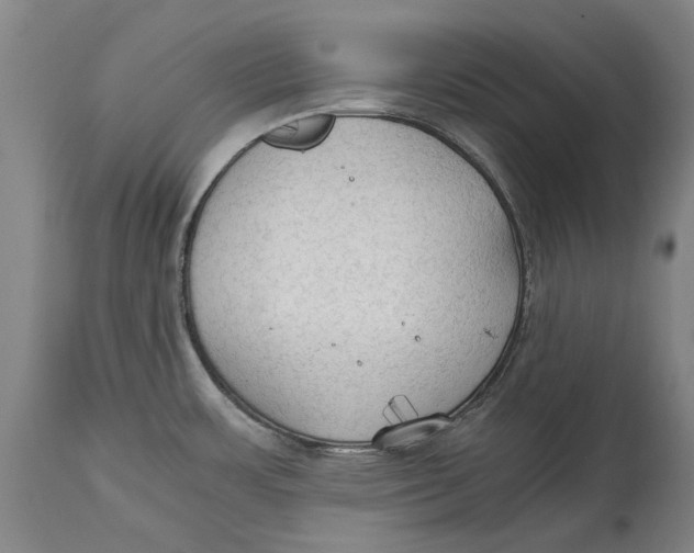 X0000114591483200911161320