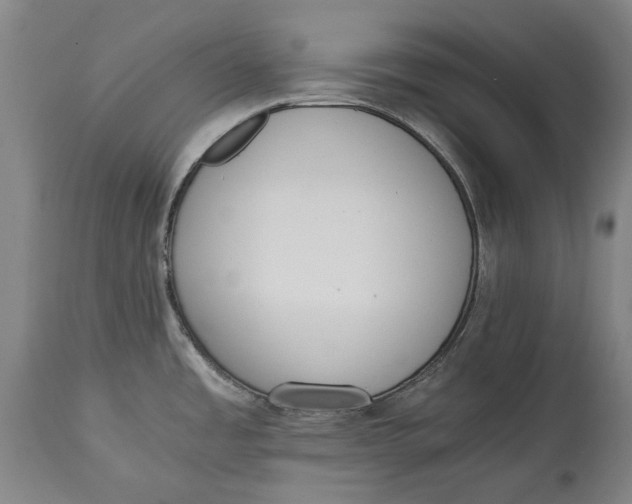 X0000114591485200911161320