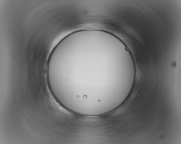 X0000114591486200911161320