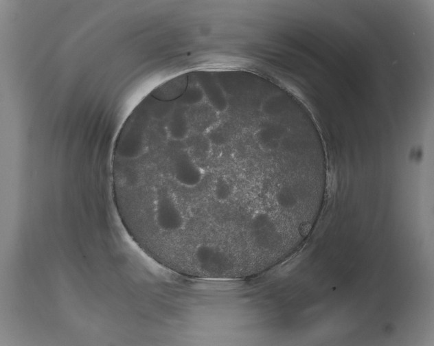 X0000114591487200911161320