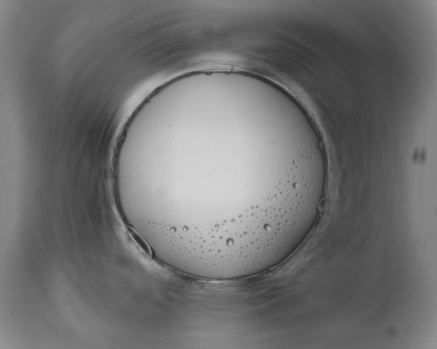 X0000114591488200911161320