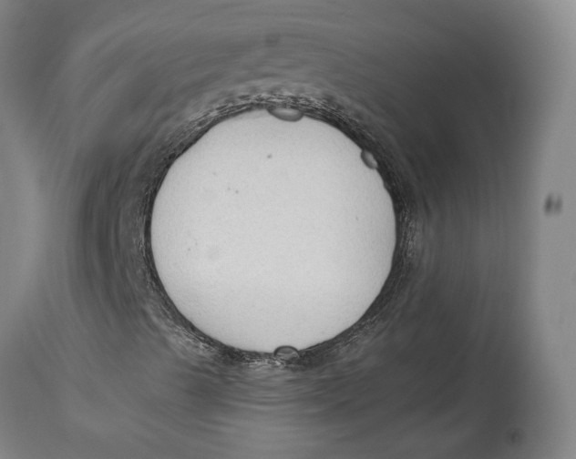 X0000114591489200911161319