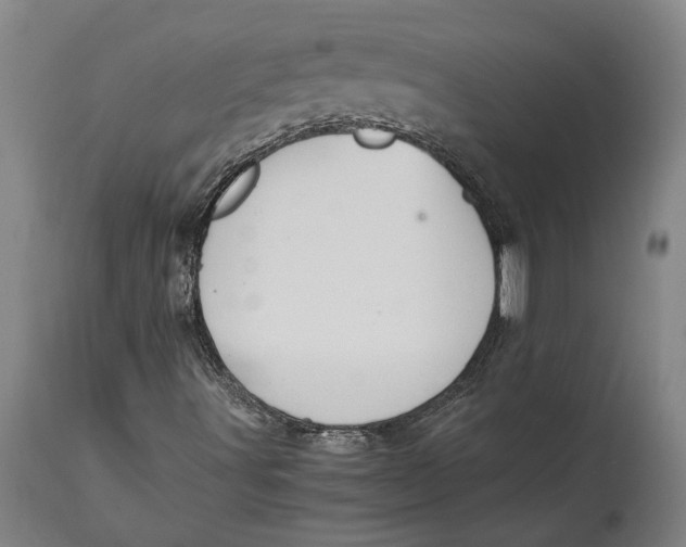 X0000114591491200911161319